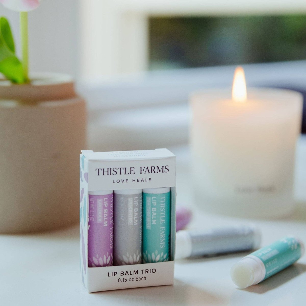 Lip Balm Trio Set - Lavender, Tea Tree Mint, Unscented - Gift Daffodil & Alder